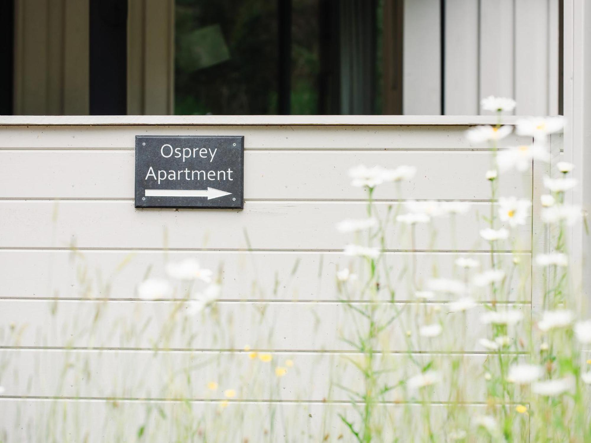 Osprey Apartment Кингасси Экстерьер фото