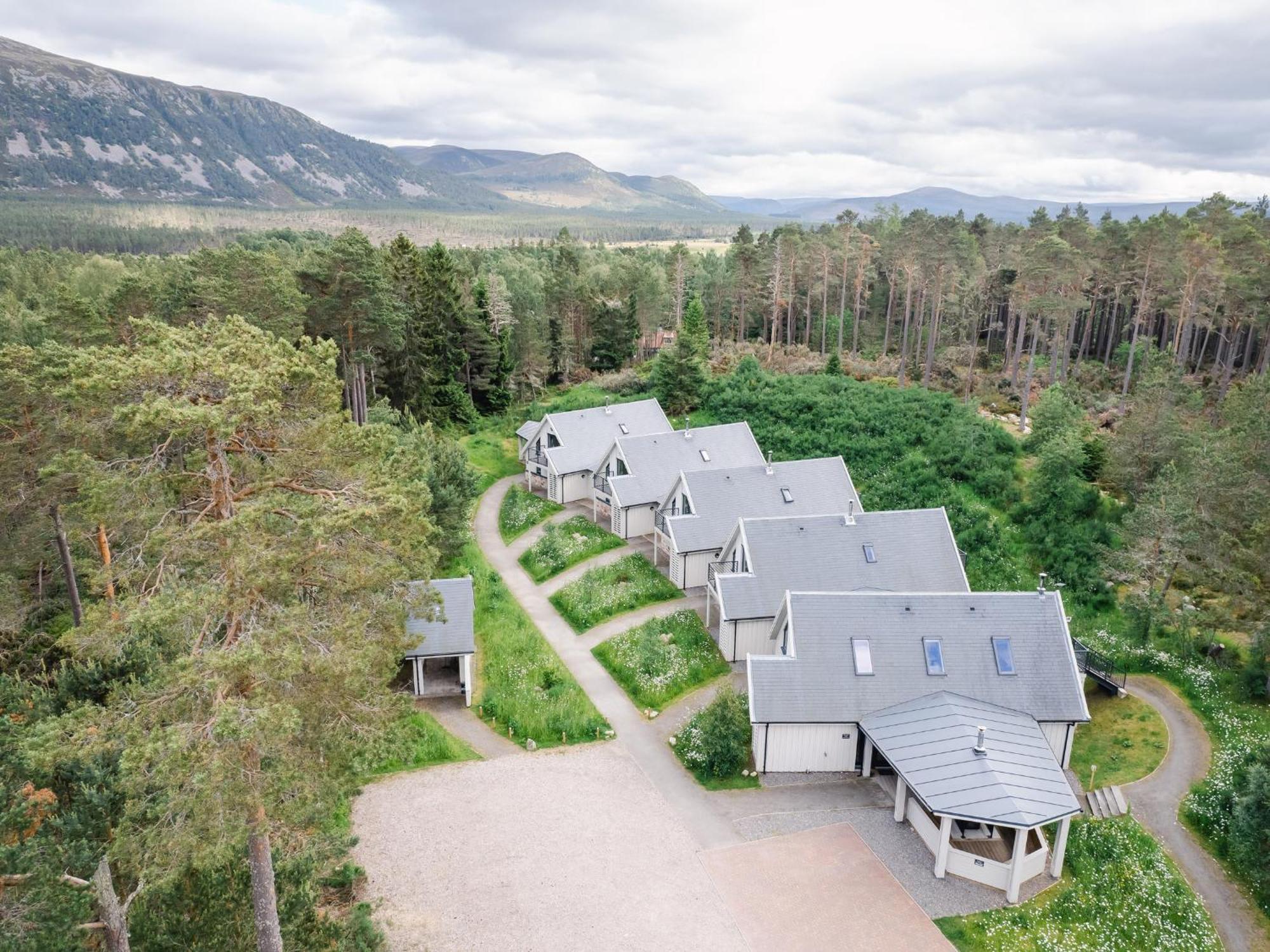Osprey Apartment Кингасси Экстерьер фото